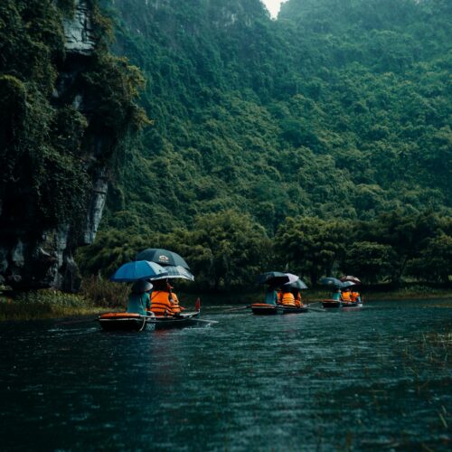 Amazon Rainforest Discovery