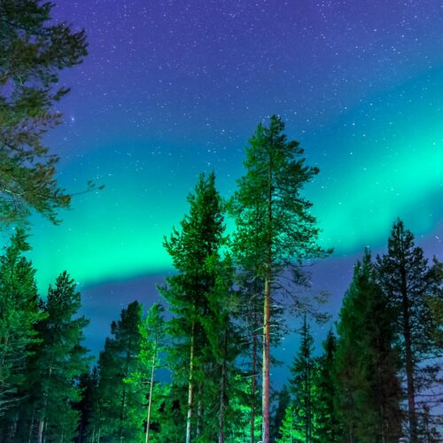 Aurora Fjordscape Adventure